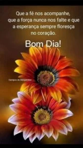 mensagem de bom dia jardim secreto