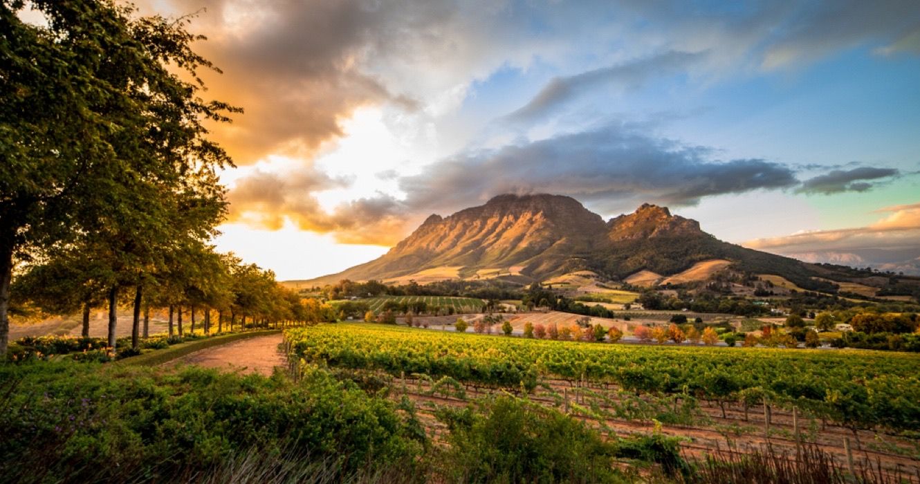 Região vinícola de Stellenbosch na África do Sul