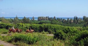 Horseback riding with a view of the Pacific Ocean on Oahu, Hawaii