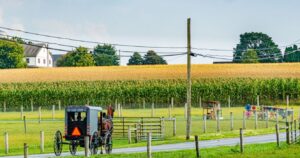 Amish Country field, Lancaster, Pennsylvania