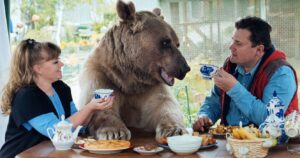 Russian couple and a bear having tea time