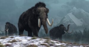 depiction of wooly mammoths in the ice age