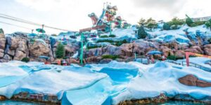 Os 10 melhores passeios nos parques aquáticos da Disney