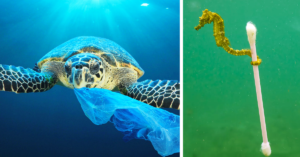 A grande mancha de lixo do Pacífico - 25 coisas que nos farão questionar a humanidade
