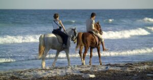 Riding horses on the beach in Mozambique